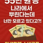민생지원금