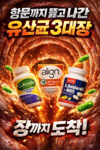 항문까지 뚫어주는 유산균 3대장